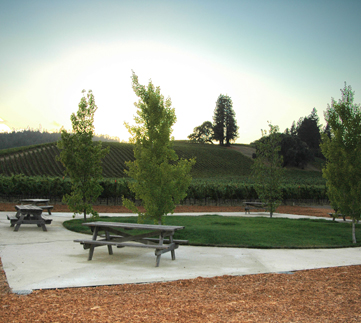 Our estate winery in Mendocino's Anderson Valley