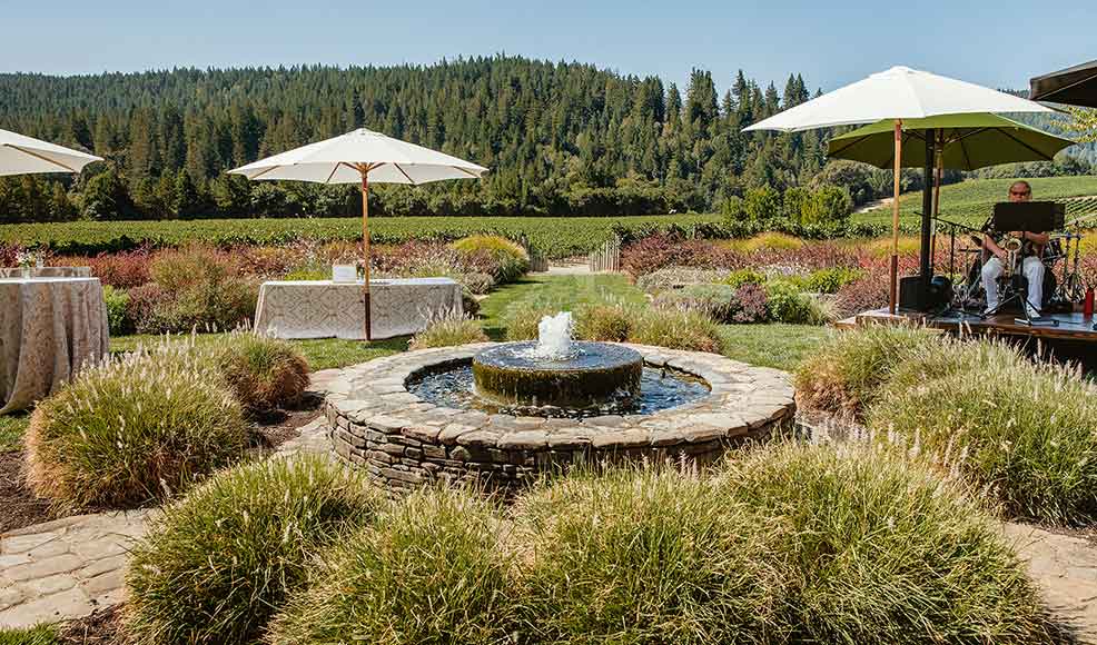 Pig and Pinot Fest Open House at Goldeneye