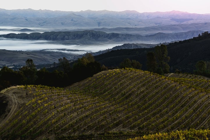 Anderson Valley Events, Food and Pairings | Goldeneye Winery