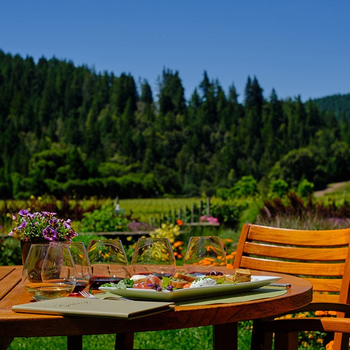 Goldeneye Patio facing Vineyard view
