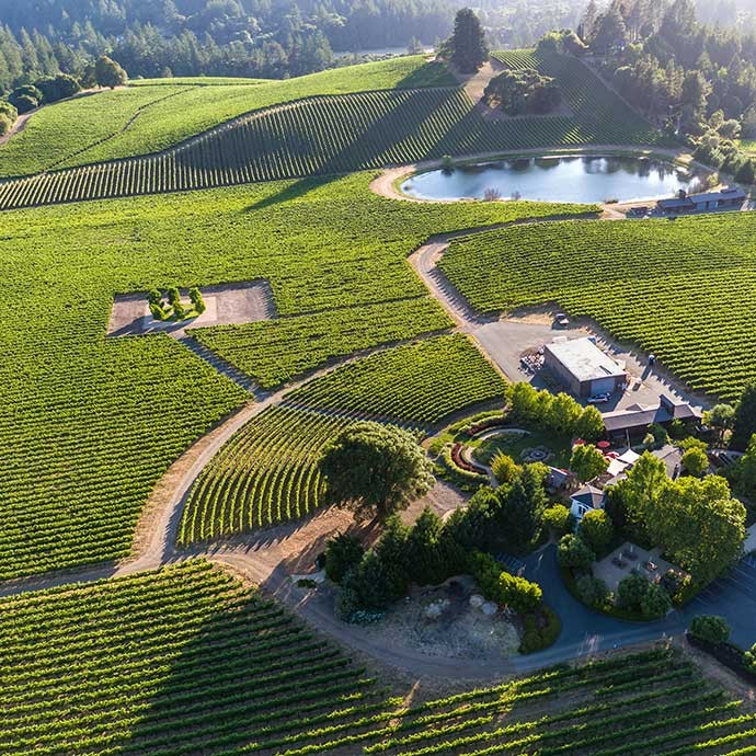 Goldeneye aerial photo over the property and vineyards