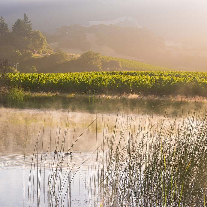 Anderson Valley