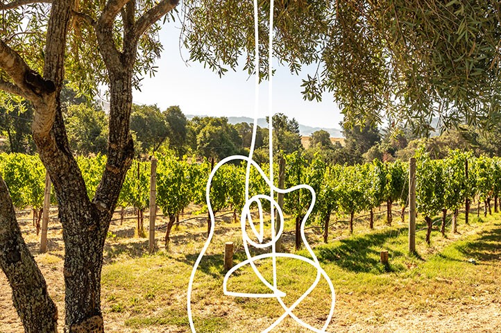 Goldeneye Winery