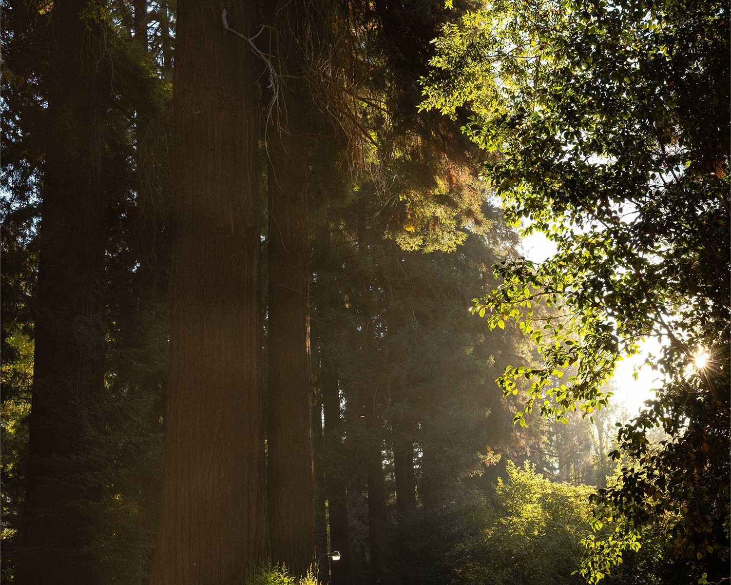 Visiting Anderson Valley