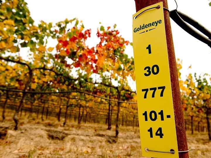 Vineyard marker